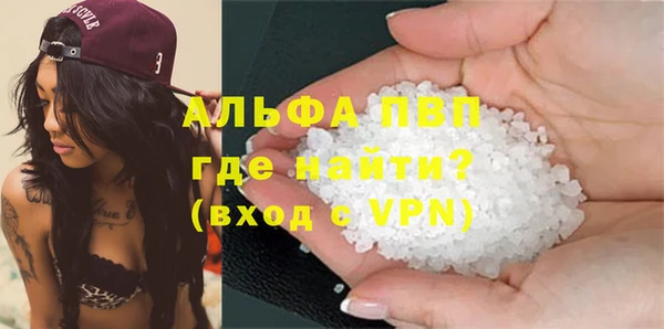 спайс Нея