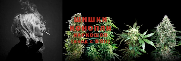 спайс Нея