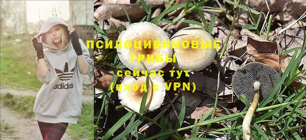 мяу мяу мука Нефтекумск