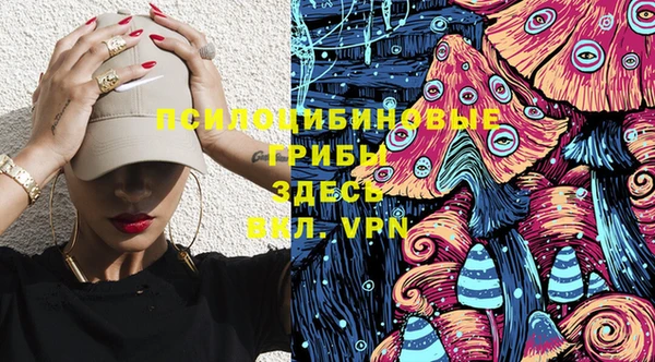 спайс Нея