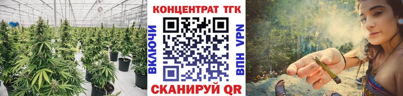 гидра ссылка  Темников  ТГК THC oil  купить наркоту 